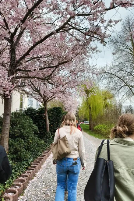 0aedbc70 d49c 4f16 8229 2e879a0b18b8 v2