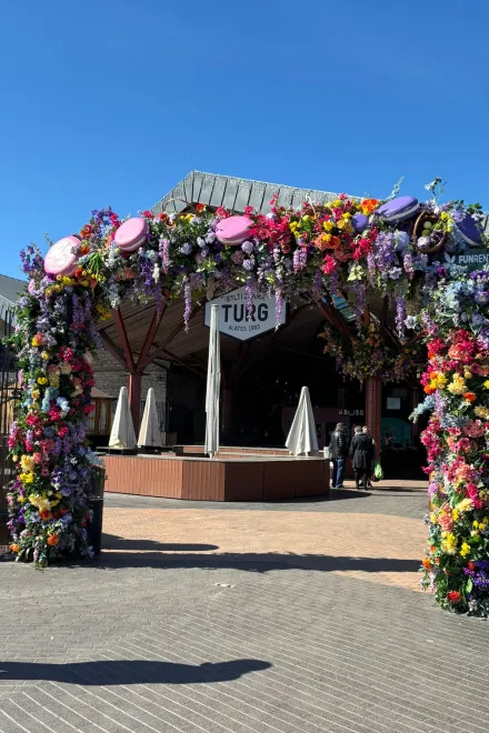 IMG 20250812 WA0003 v2